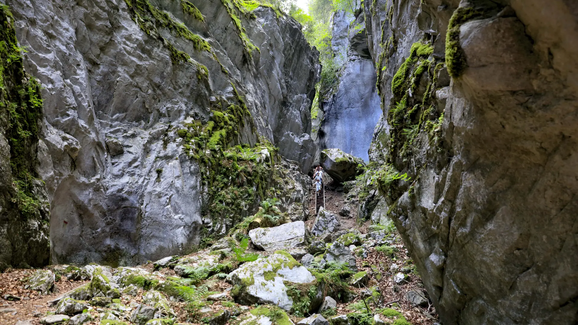 Gorges des Tines