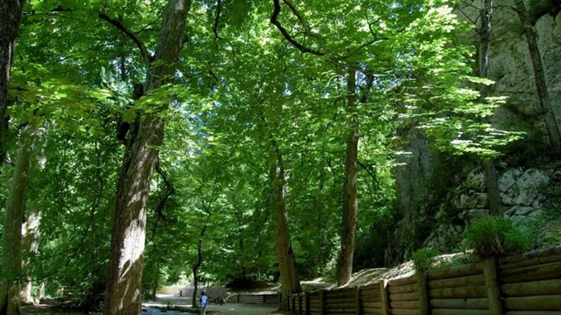 Le parc départemental de Saint-Pons