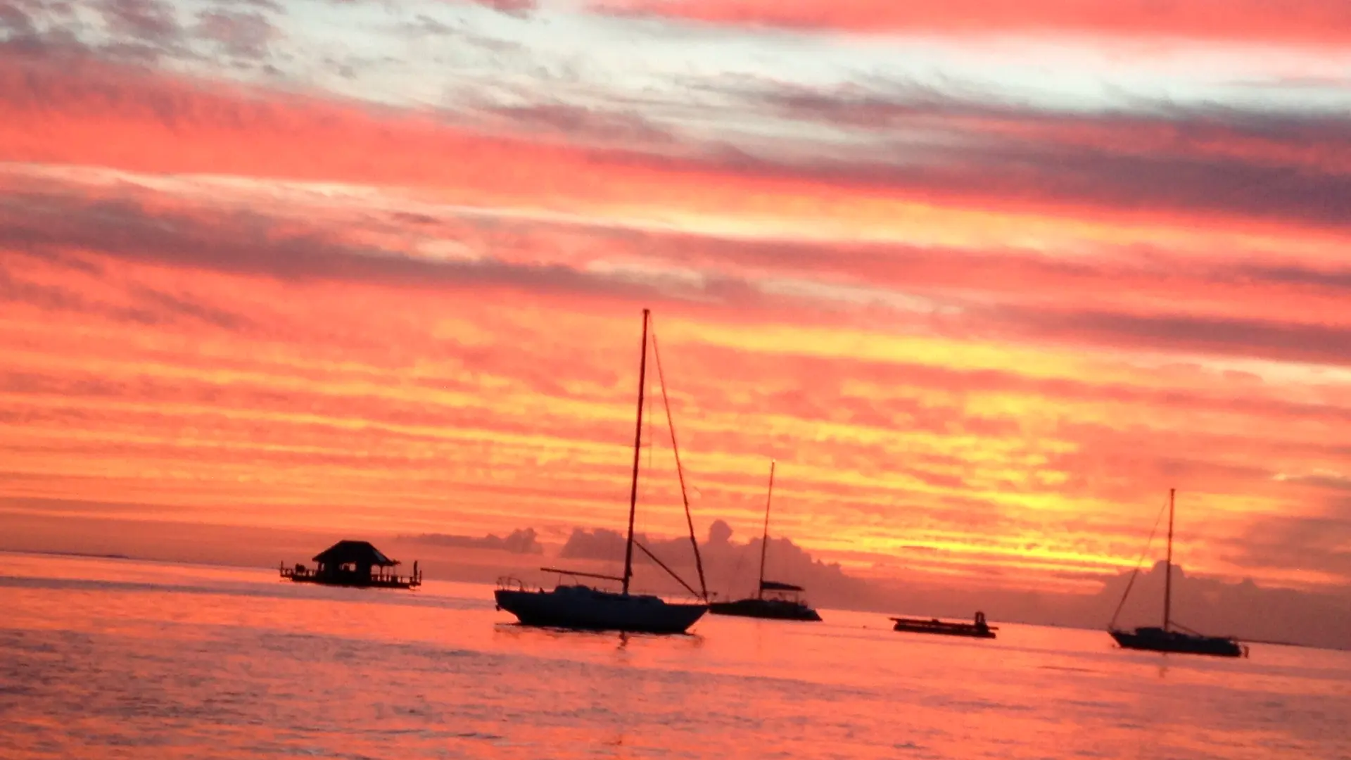Tahiti Dream Tours