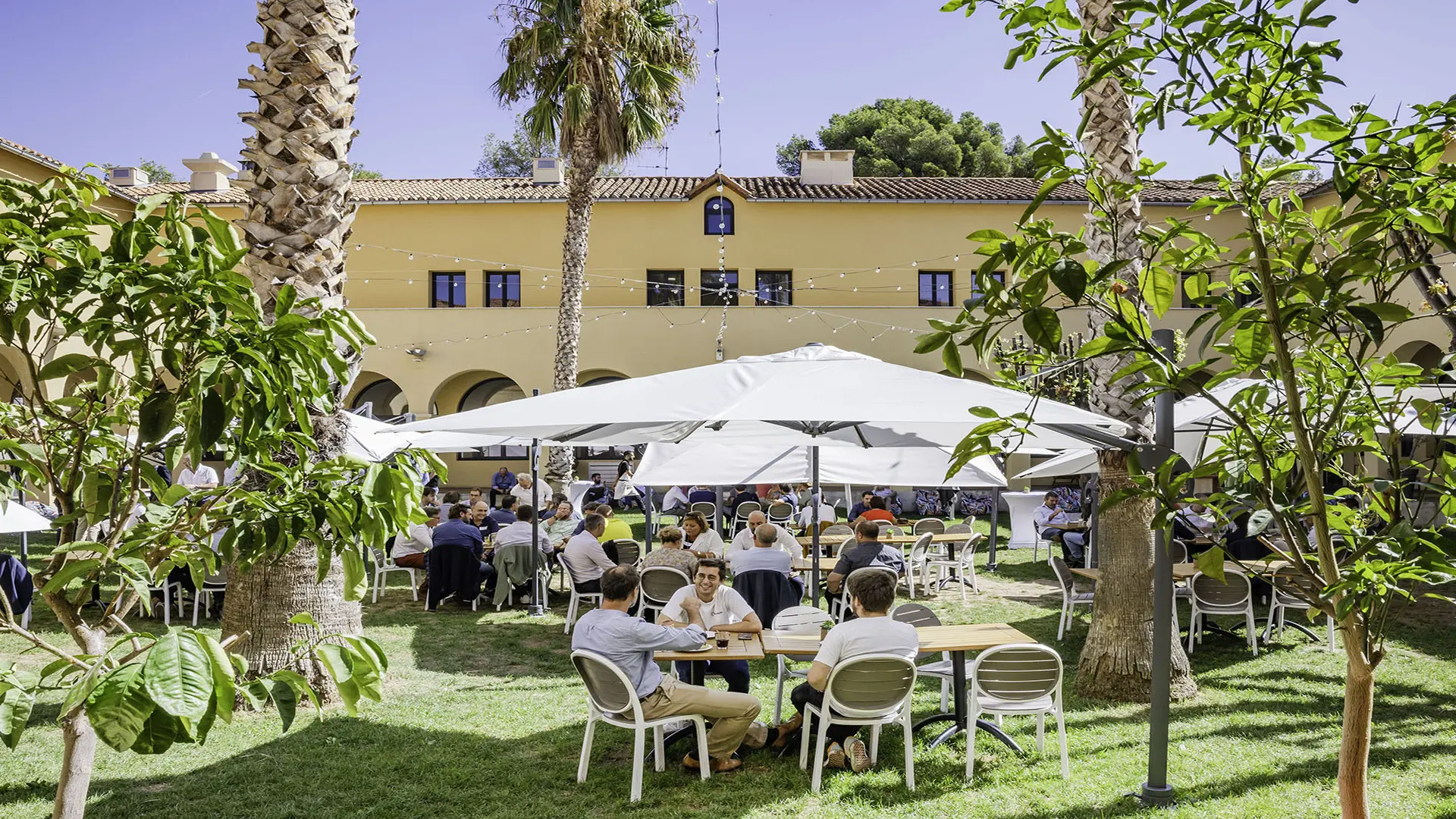 Patio Déjeuner