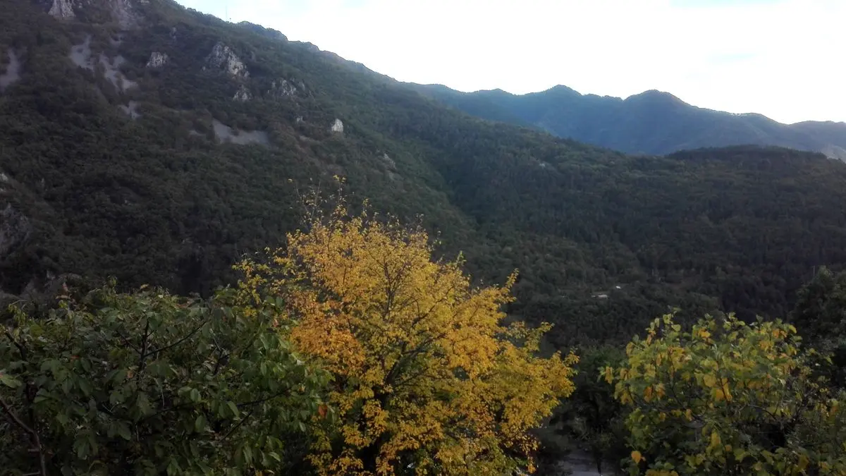 Gîte Chez José-Vue montagnes-Belvédère-Gîtes de France des Alpes-Maritimes