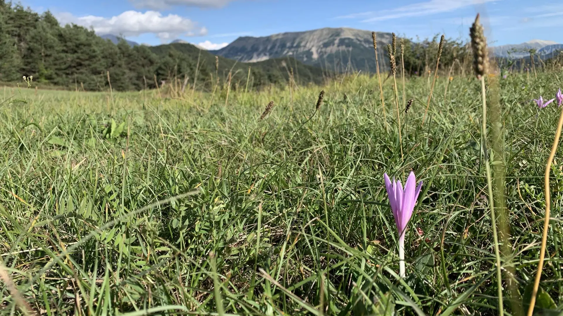 Vallée de la Blanche