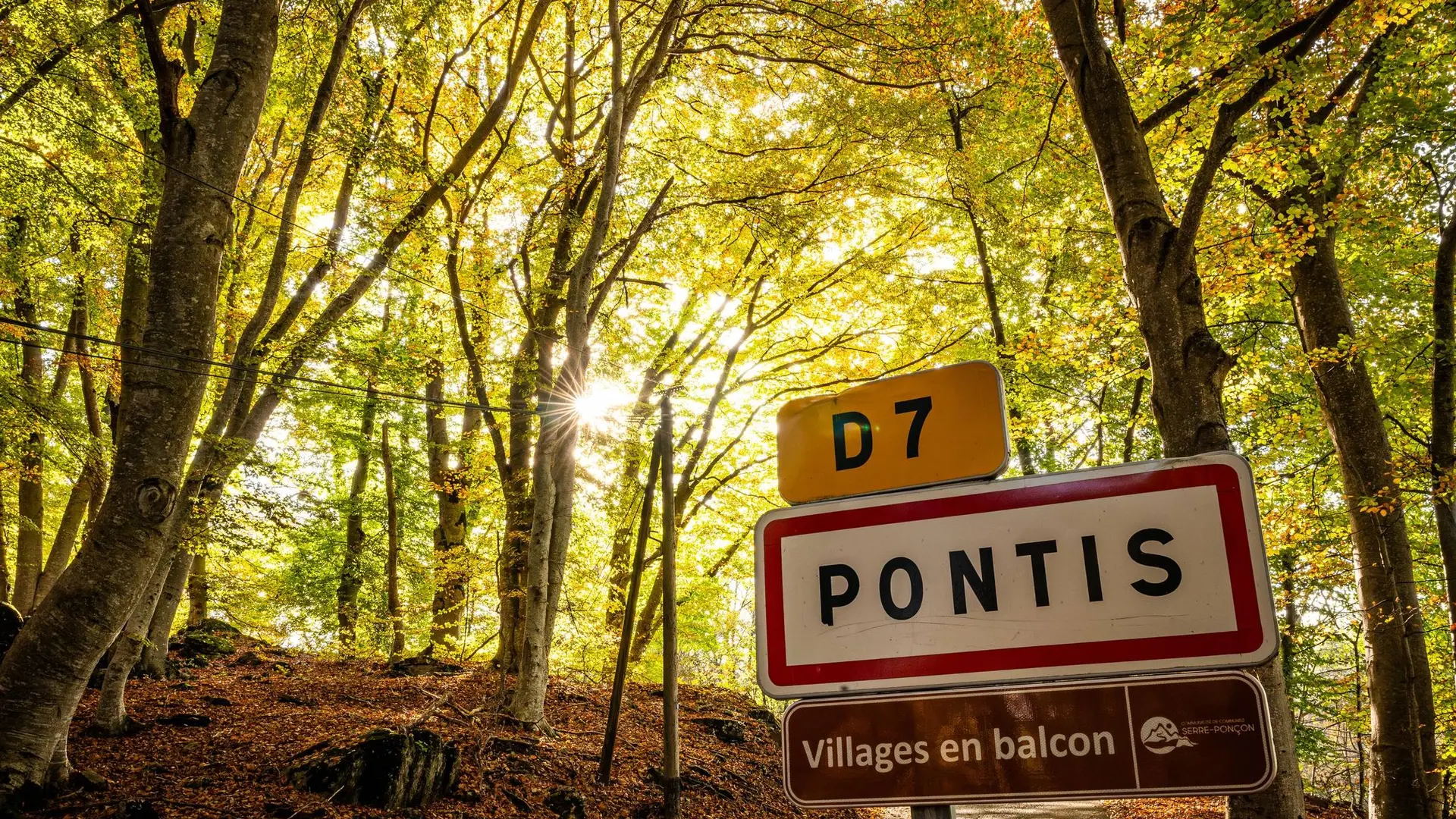 Pontis et sa hêtraie