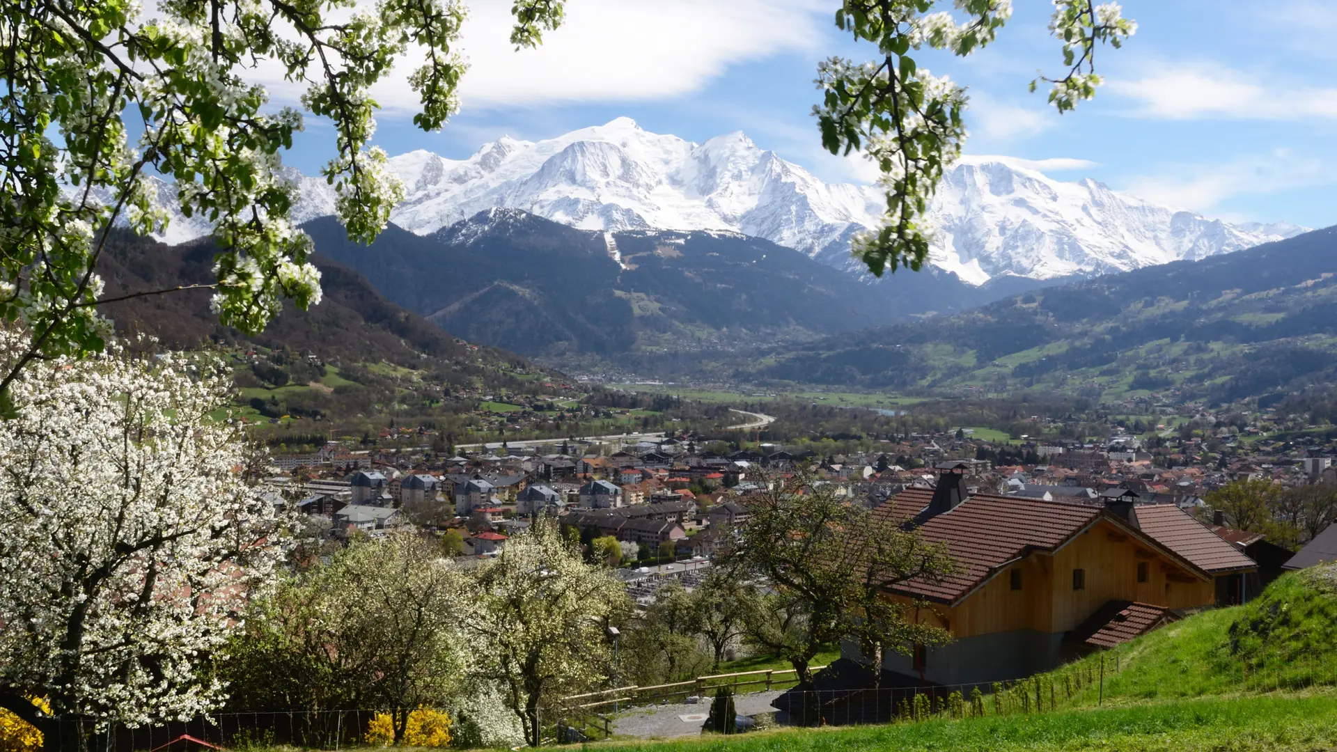 vue sur le Mont-Blanc depuis le coteau de St Roch