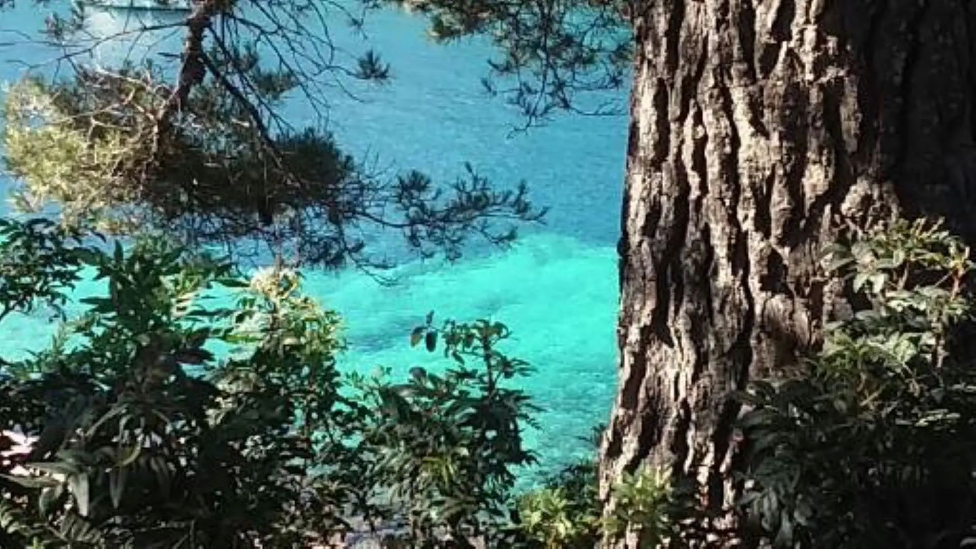 Appartement T3 - 5 personnes_Hyères