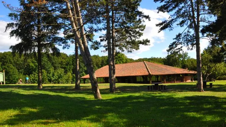 Grand Couvert Forêt de Lespinasse © Evelyne Deveaux