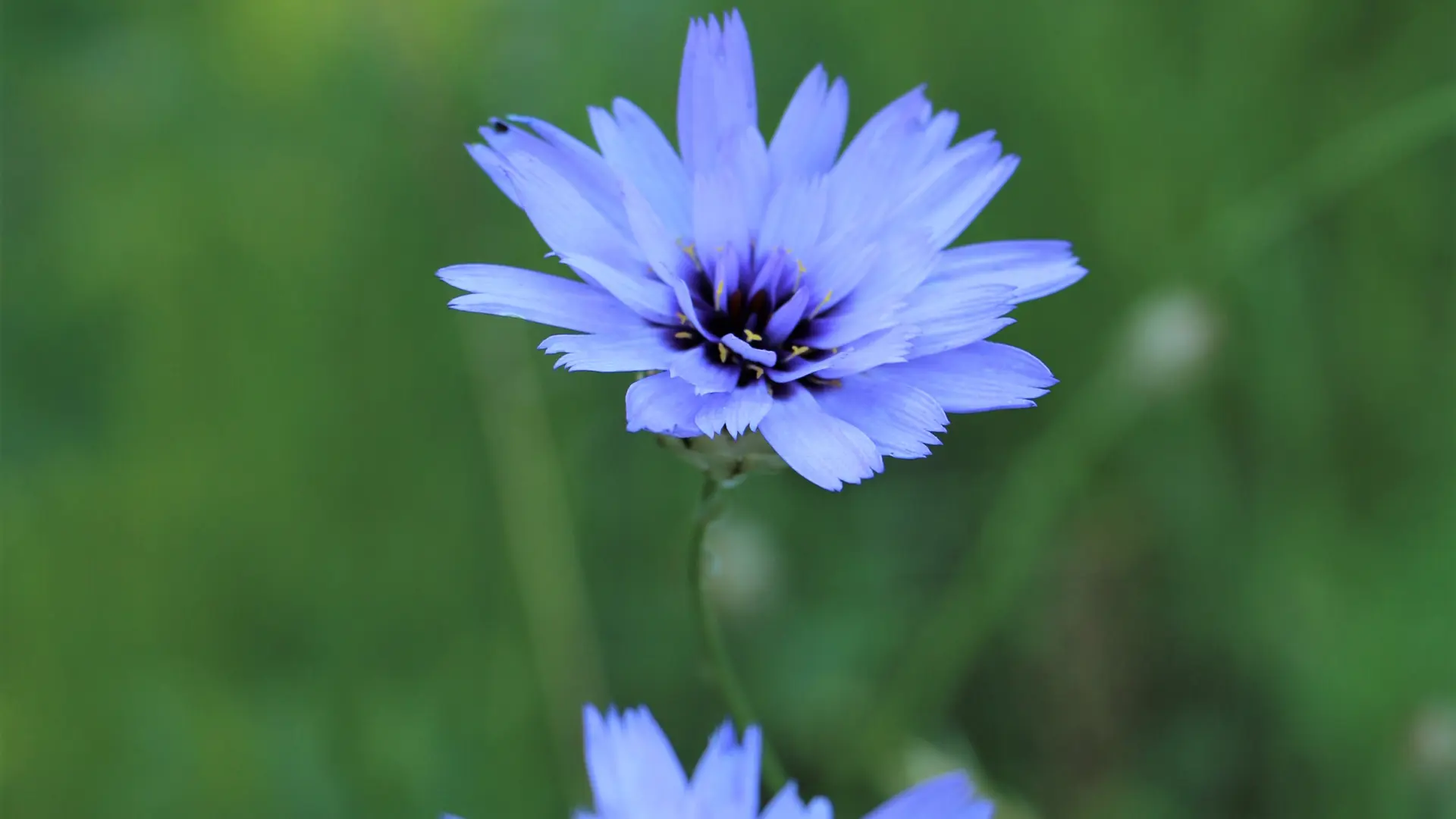 Pic de Céuse par Châtillon