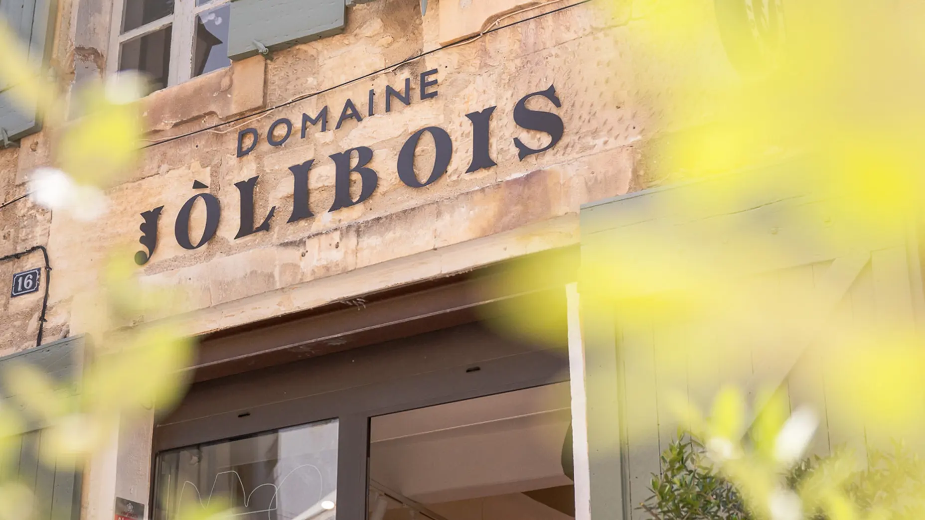 Domaine Jòlibois_Saint-Rémy-de-Provence