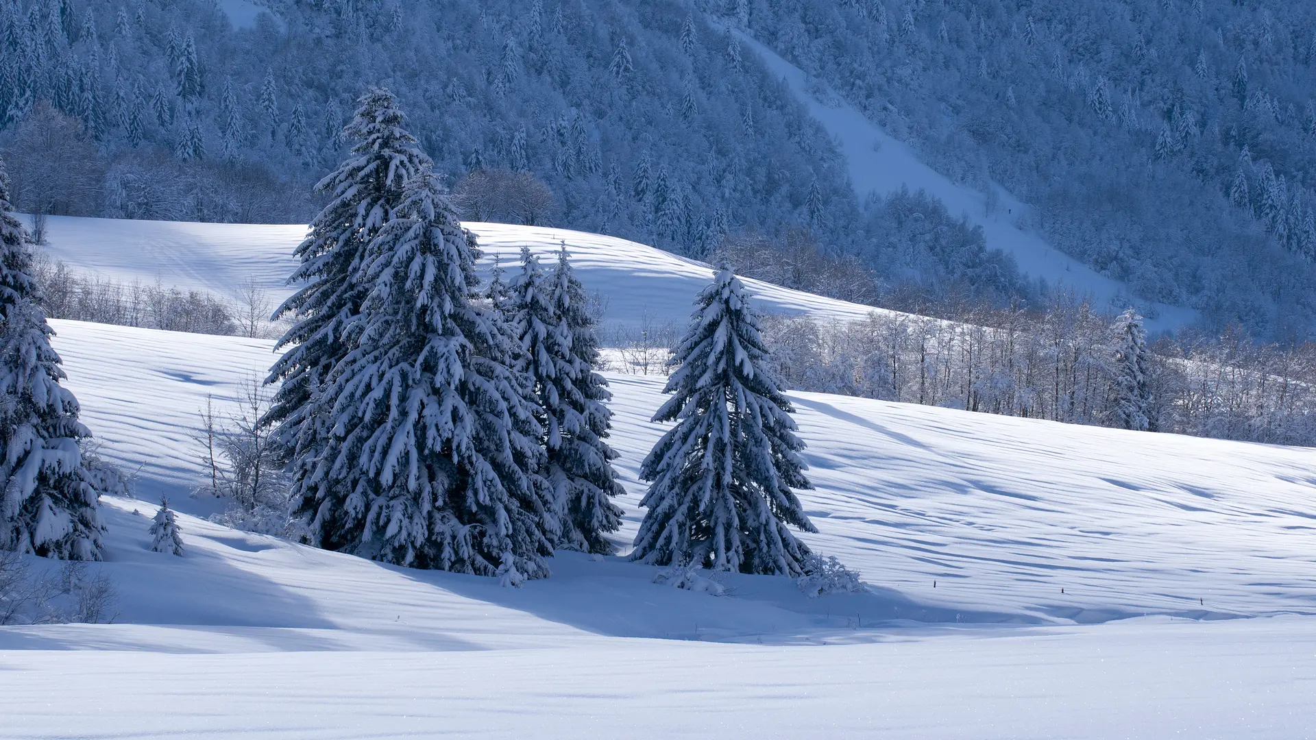 Arrivée au Cernay