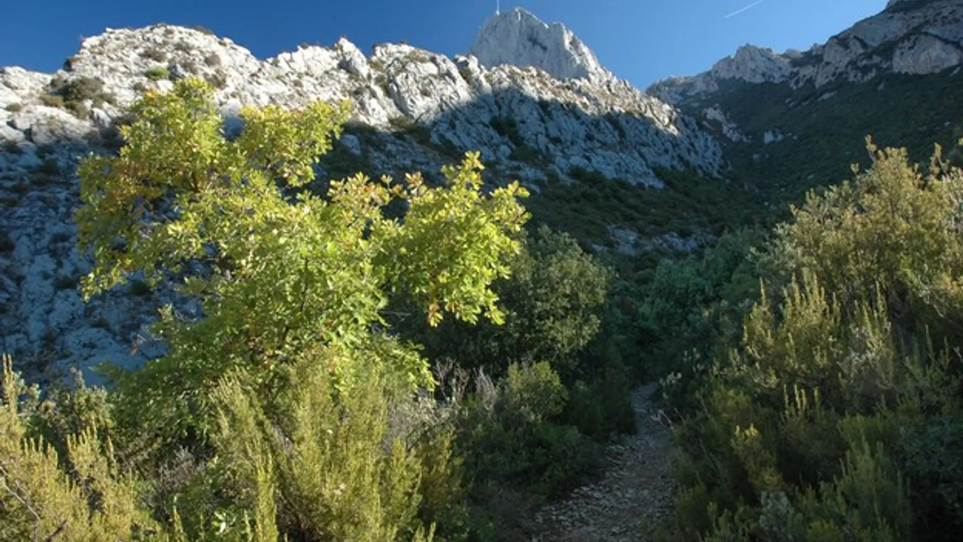 La vue sur le pic de Bertagne le long du parcours
