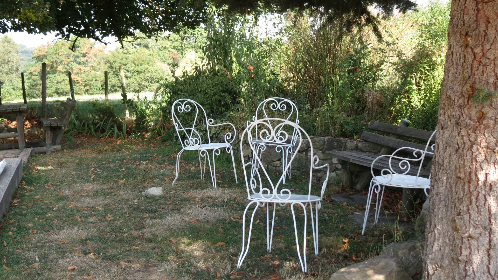Jardin