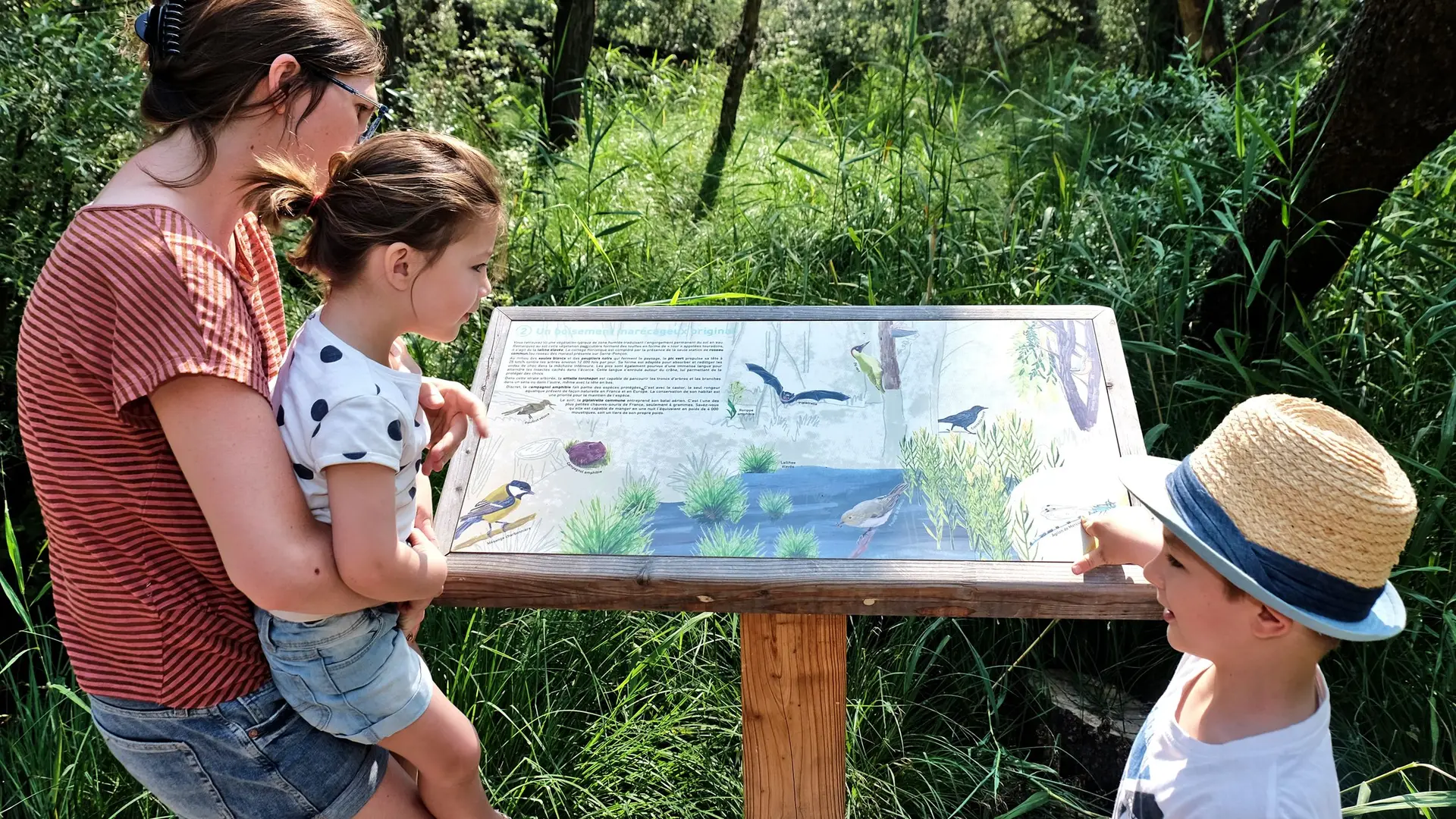 Les panneaux d'informations le long du sentier