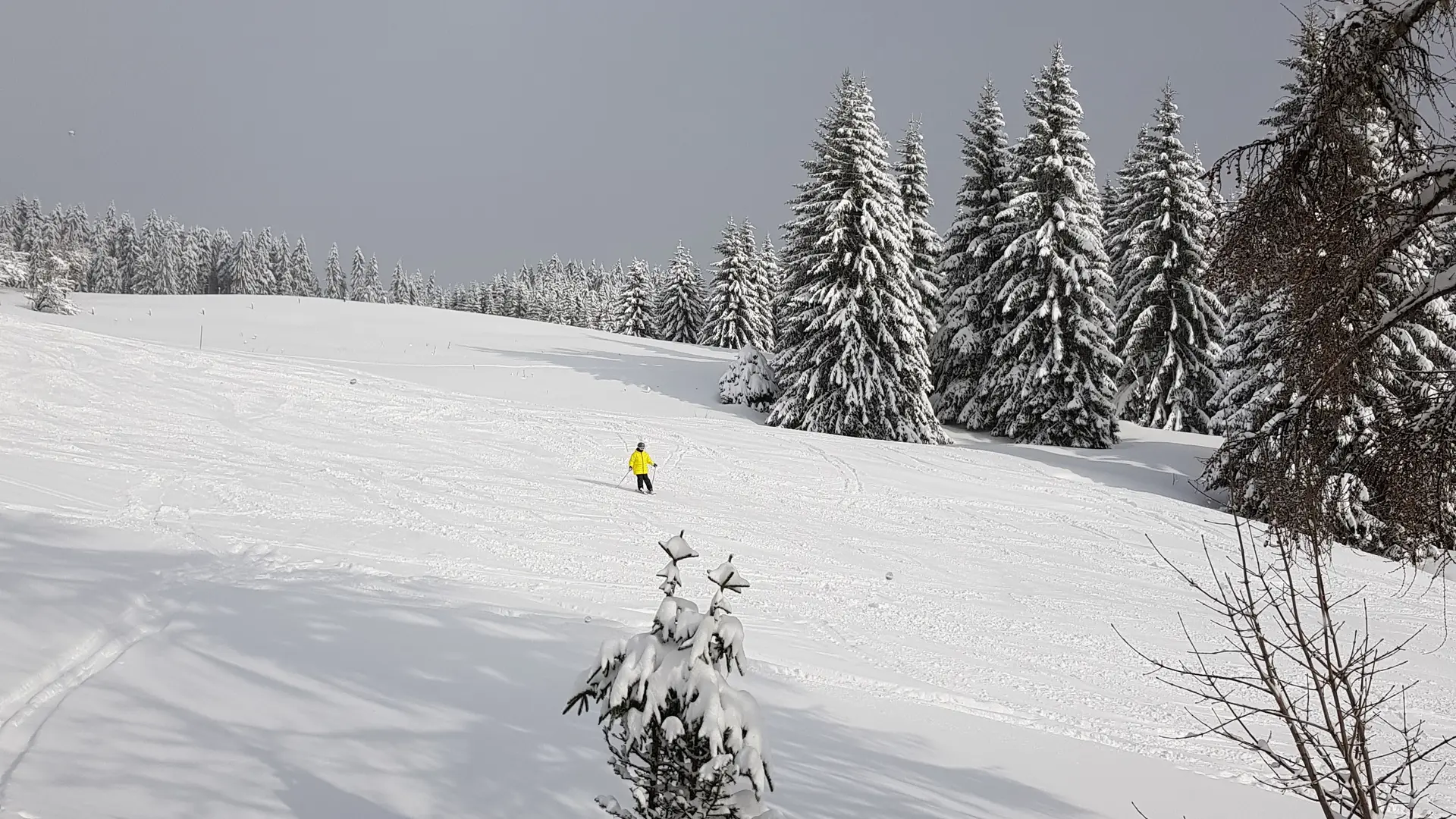 Pistes en hiver à côté de l'hôtel