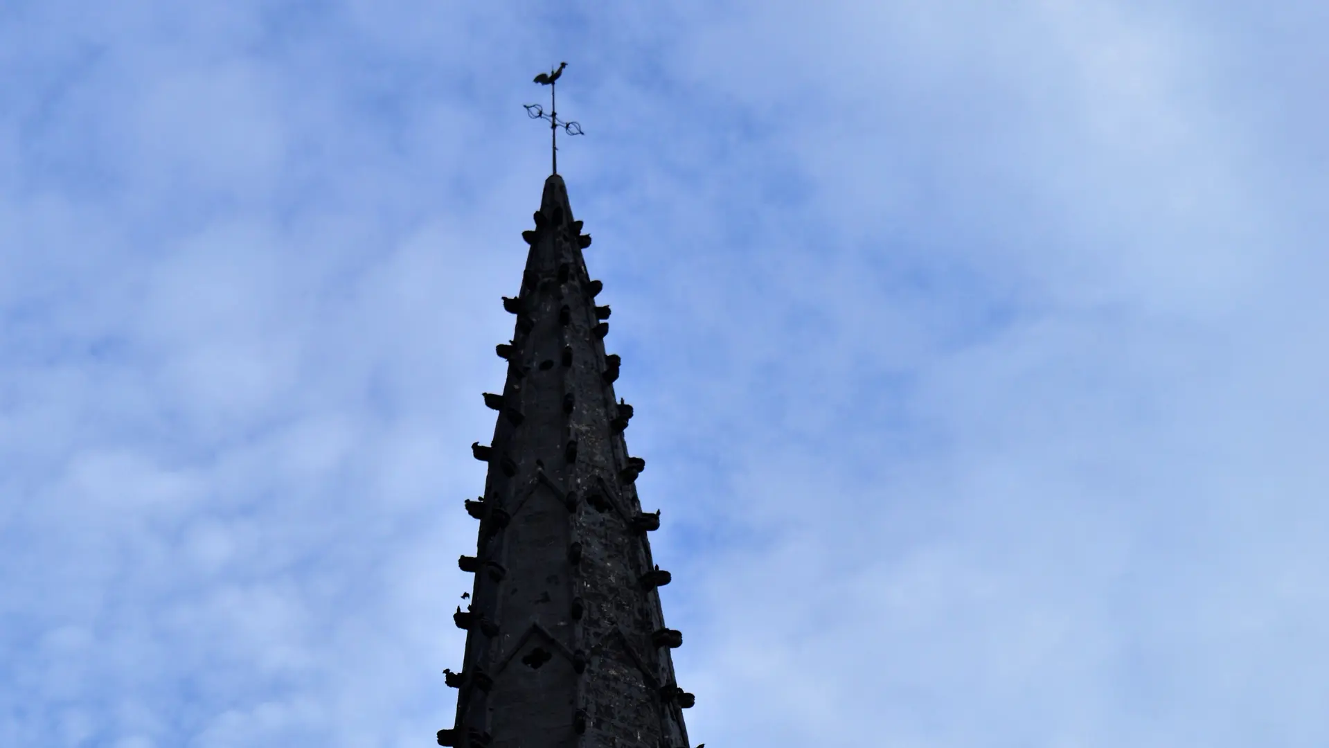 Clocher d'Ars-en-Ré