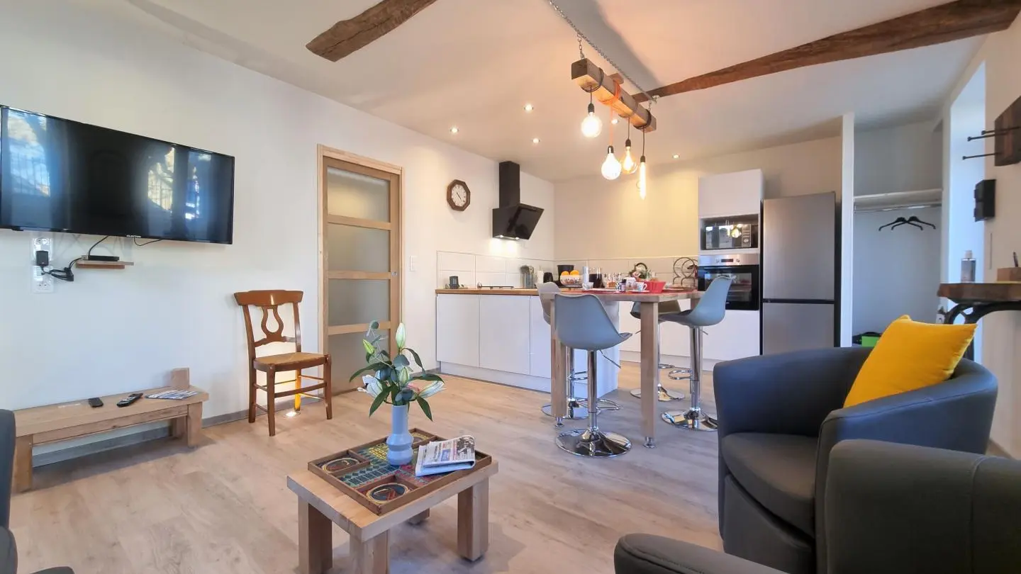 Séjour avec salon détente et cuisine ouverte.