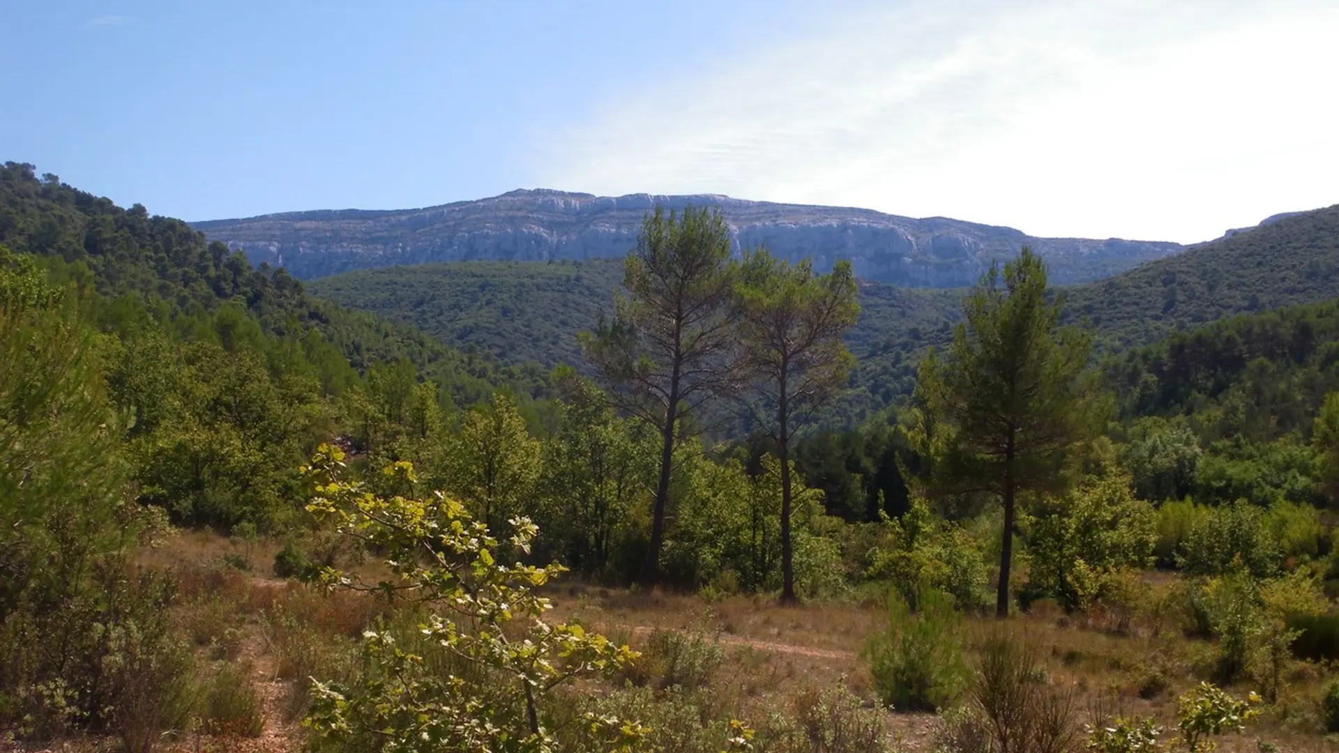 La vue sur l'ubac de la montagne