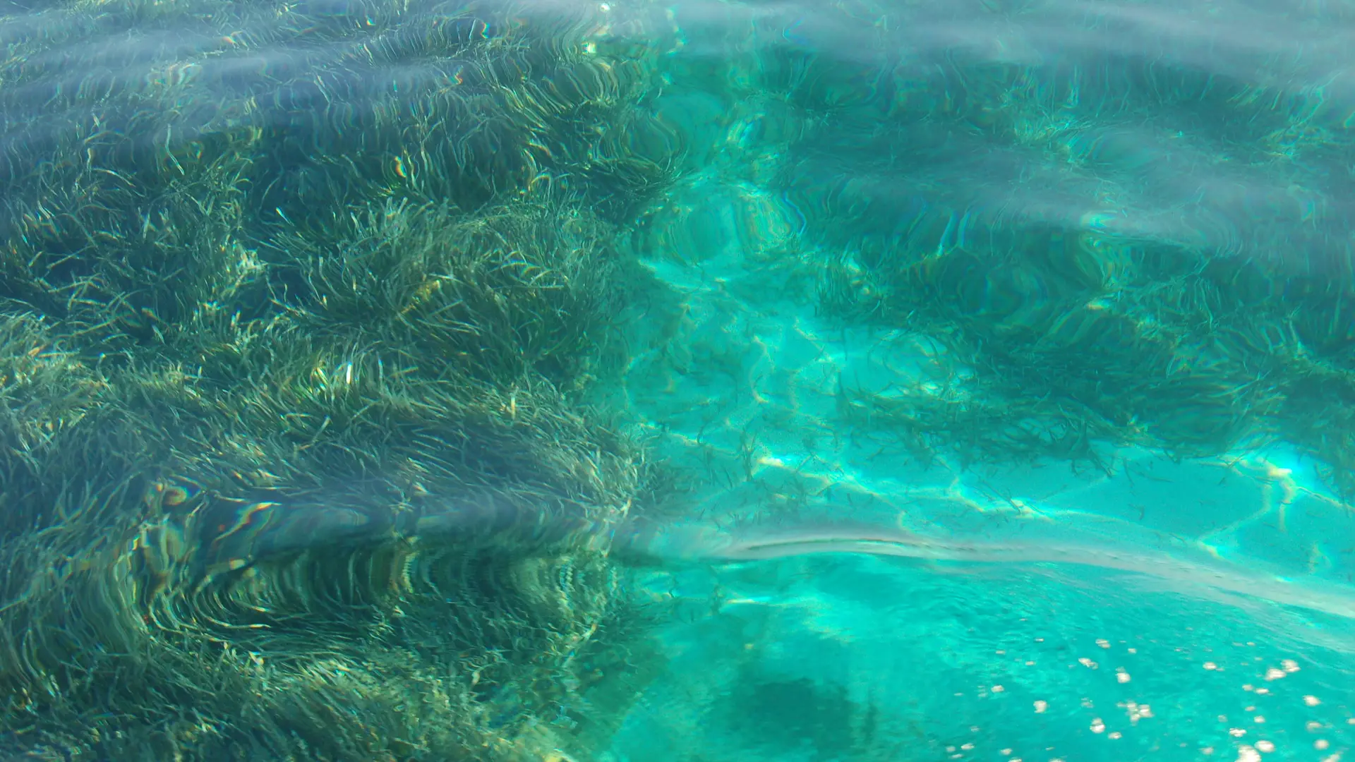 La plage du Langoustier à Porquerolles