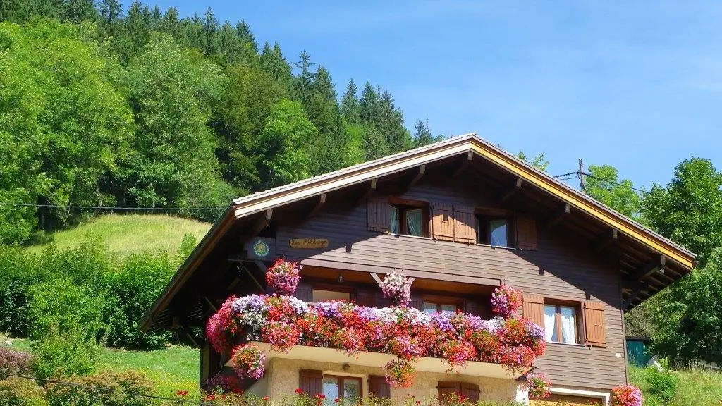 vue du chalet depuis la route du chinaillon