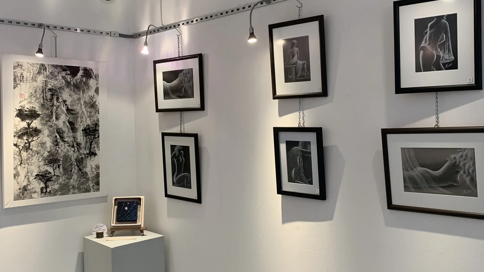 Exposition dessin à la Galerie municipale de Pierrefeu du Var