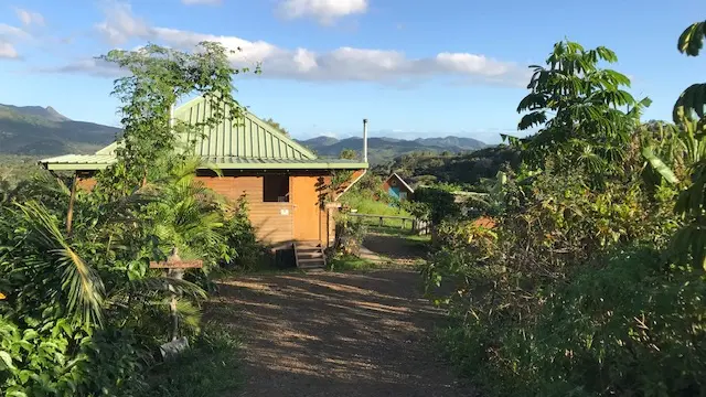 Oasis des possibles - Dumbéa