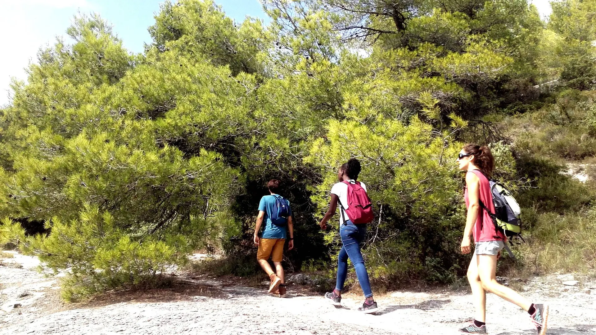 Fin de parcours du sentier botanique des Beaumettes