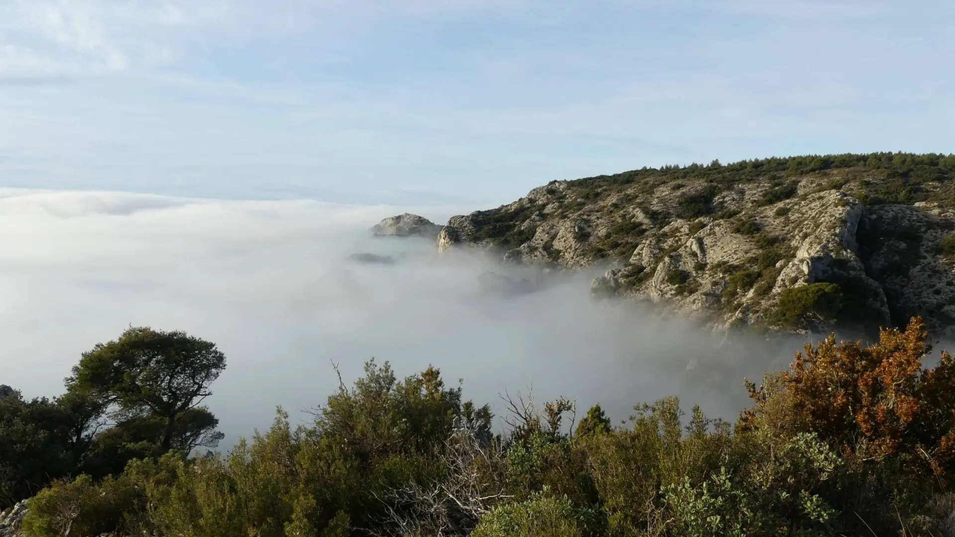Forêt des cèdres et contreforts du Petit Luberon