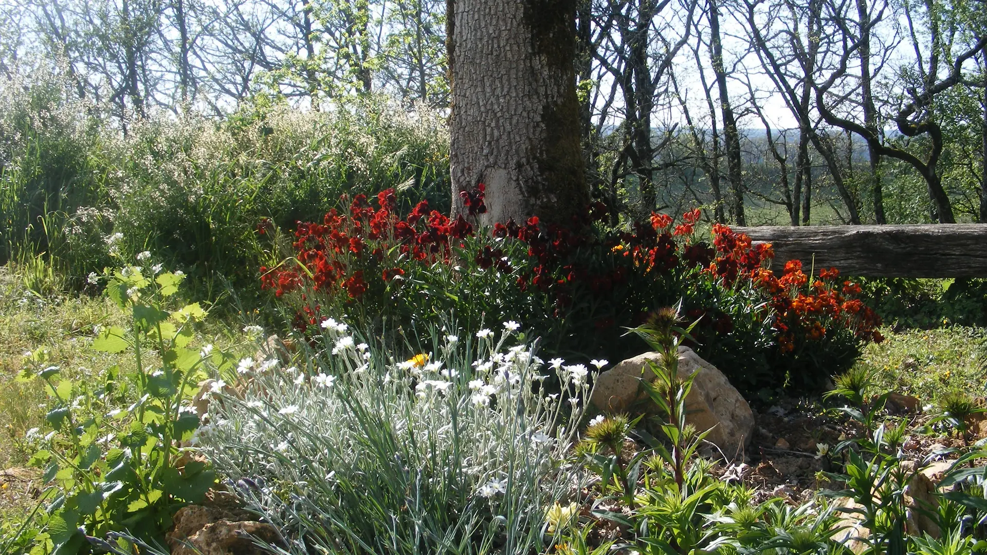 ........vous y serez servis