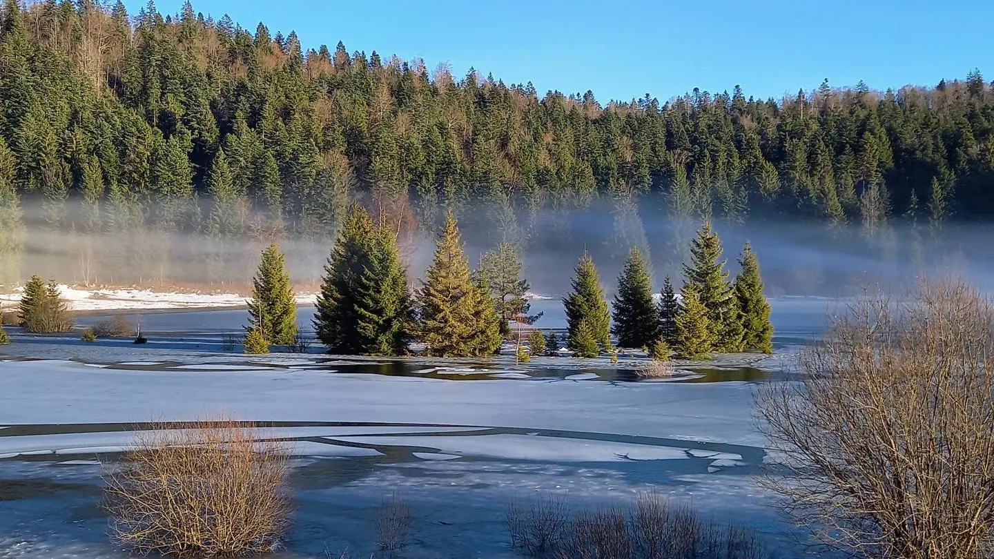 Lac genin glacé