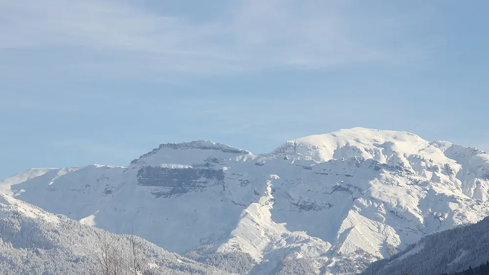 La Gentiane
