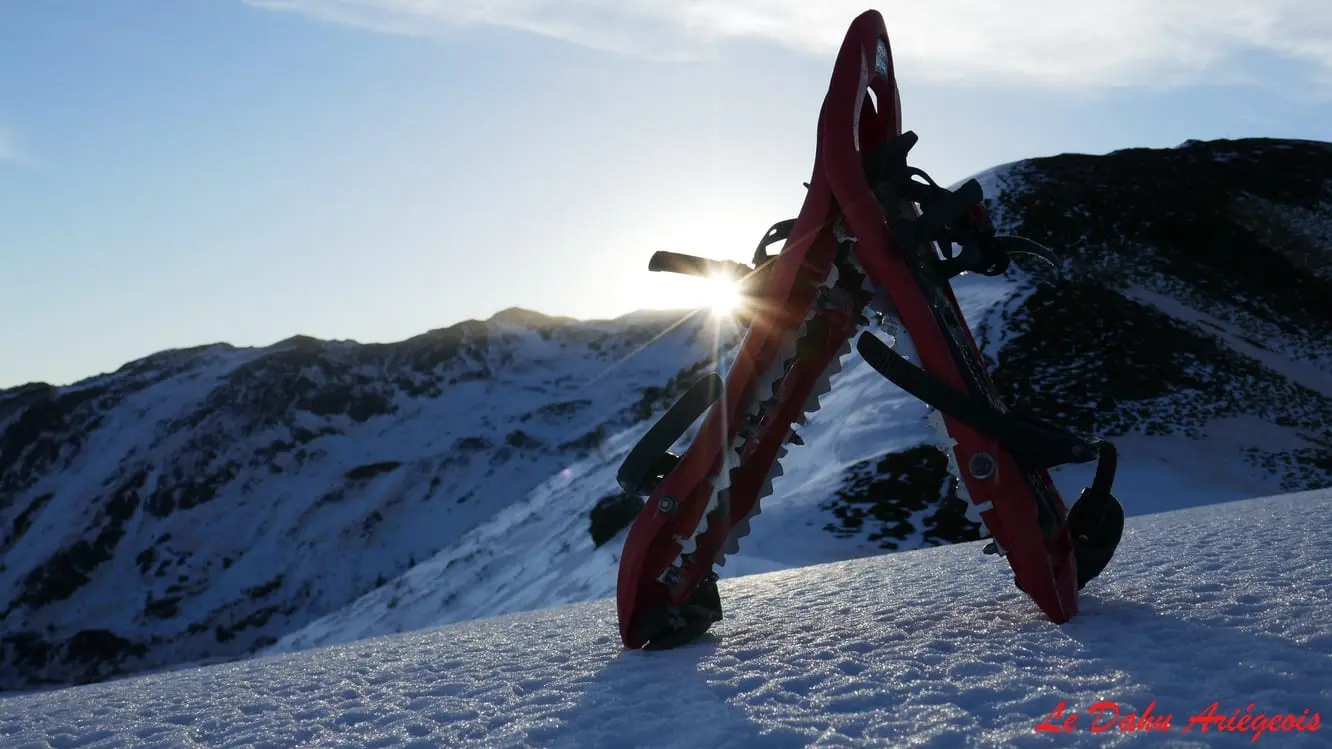 Raquette By Night et Aura Solaire