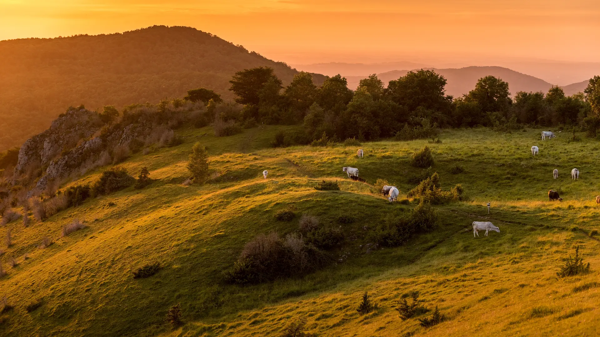 Roquefixade, village et château