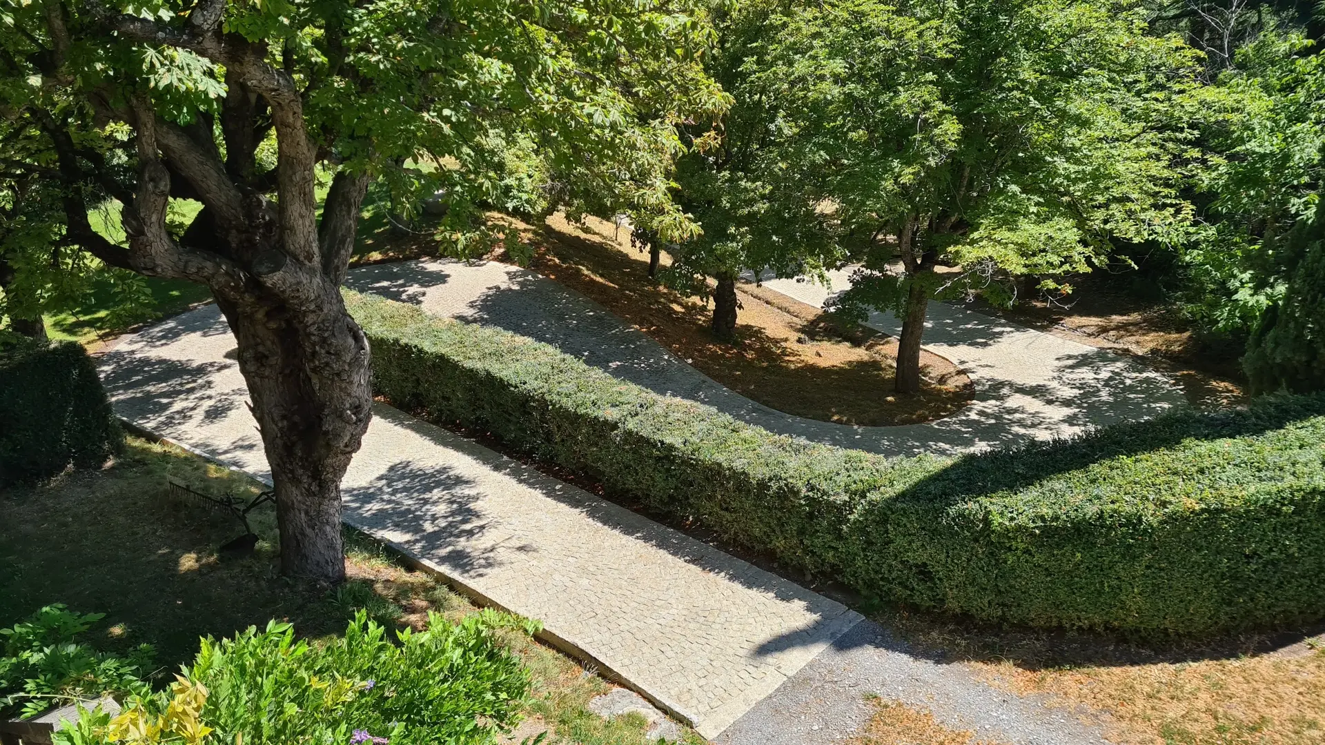 Allée pavée bordée de buis