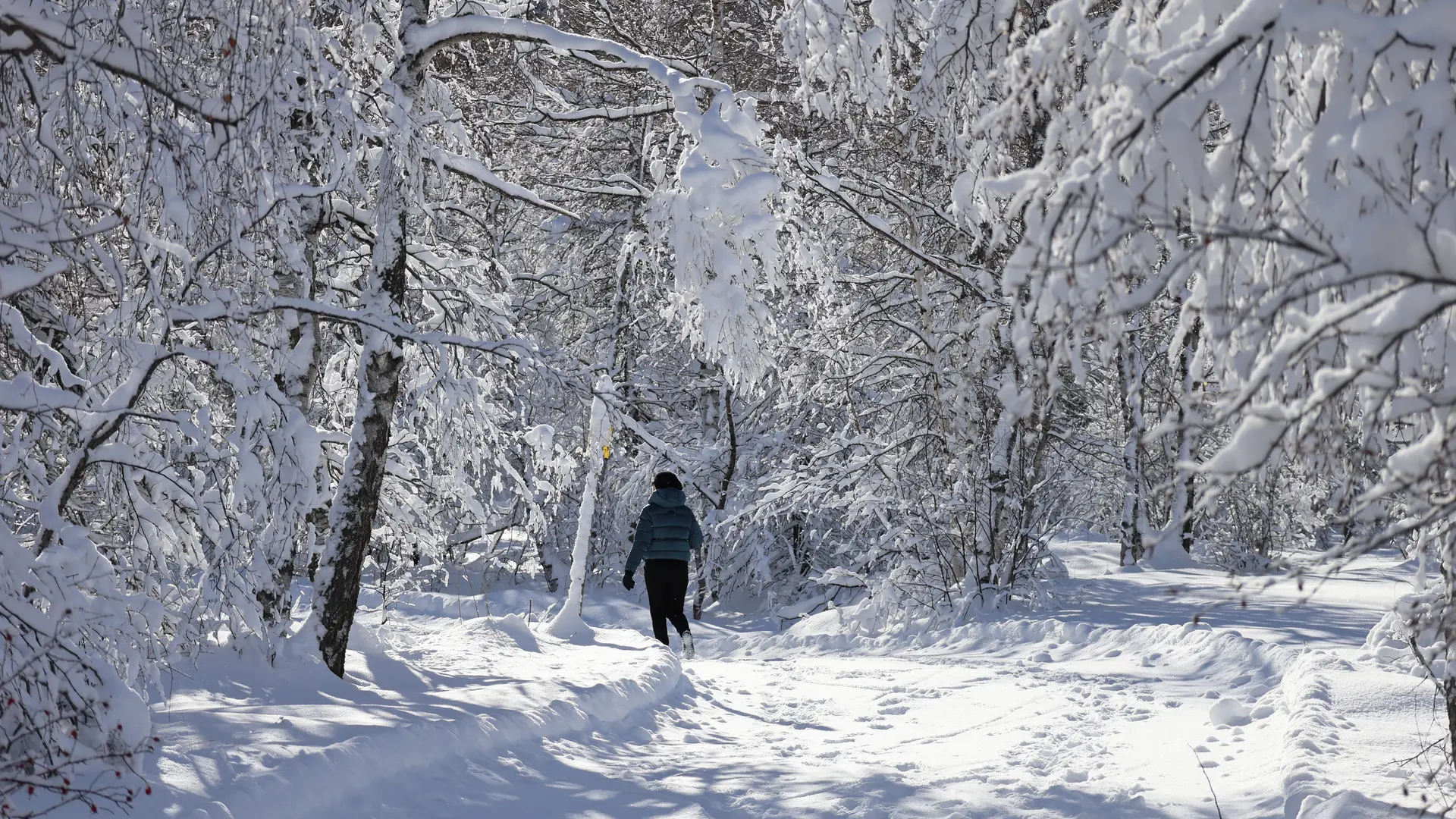 Itinéraire piéton au domaine nordique de Villar d'Arène