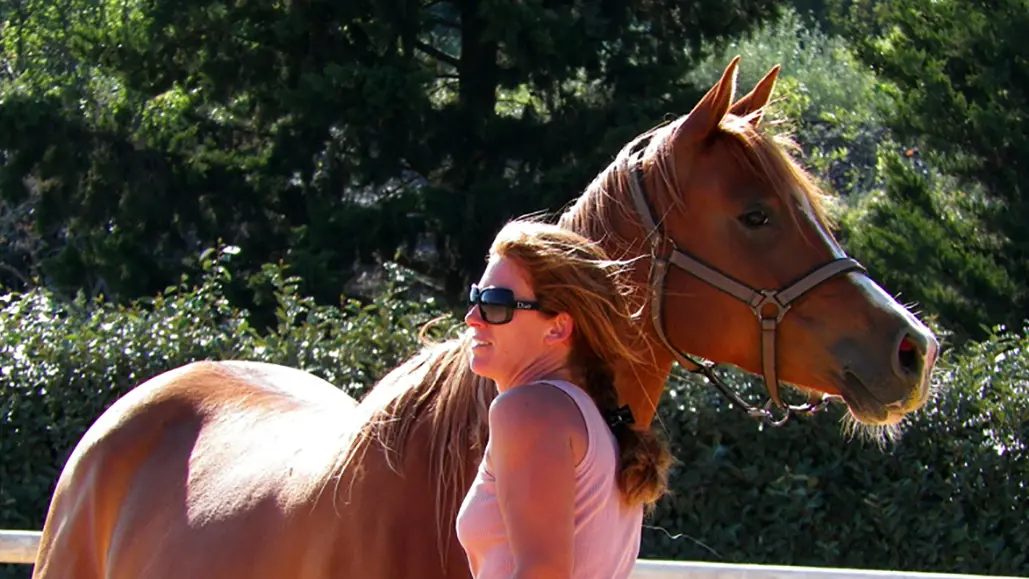 Centre équestre Les Ecuries de Cadillan à Graveson