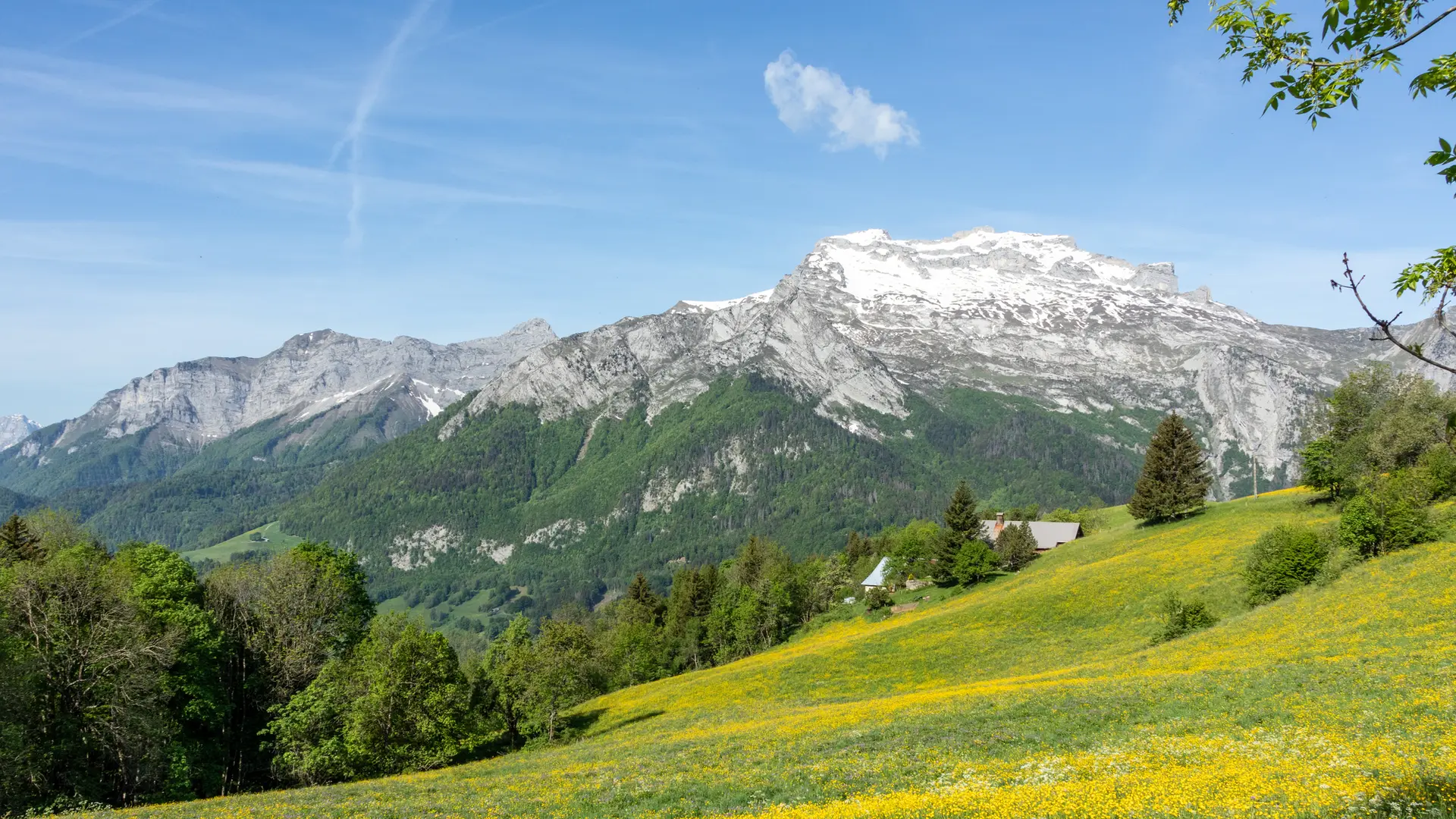Alpage et paturage de Sulens au printemps