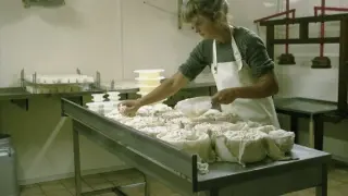 Les chèvres des Blétonnets