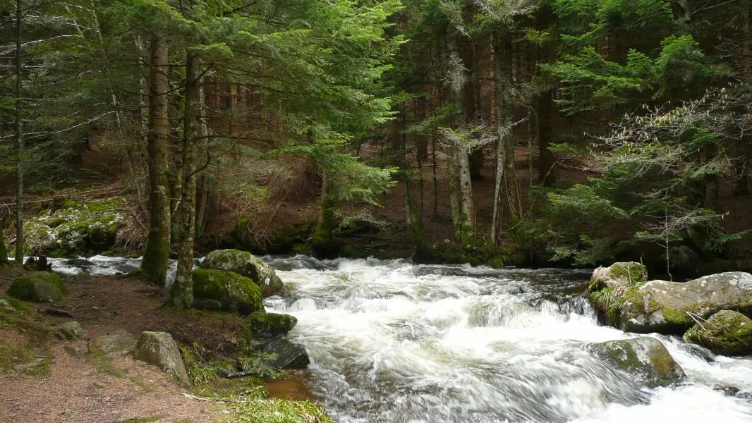 Rivière du Lignon: cascade de Chorsin et rivière à 2 km du gite