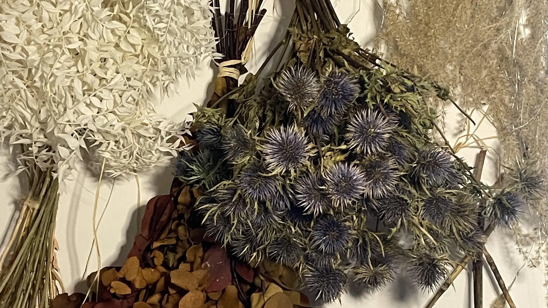 Lili-Clémence Bethemont_Roanne