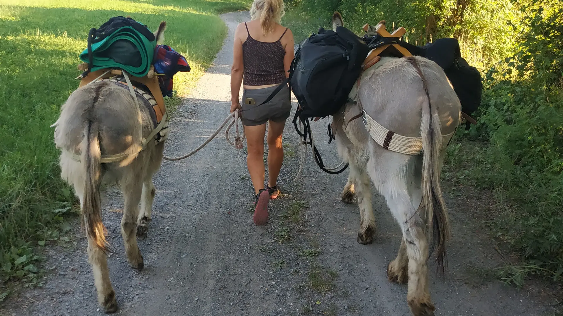 Balade avec Tis'Ânes