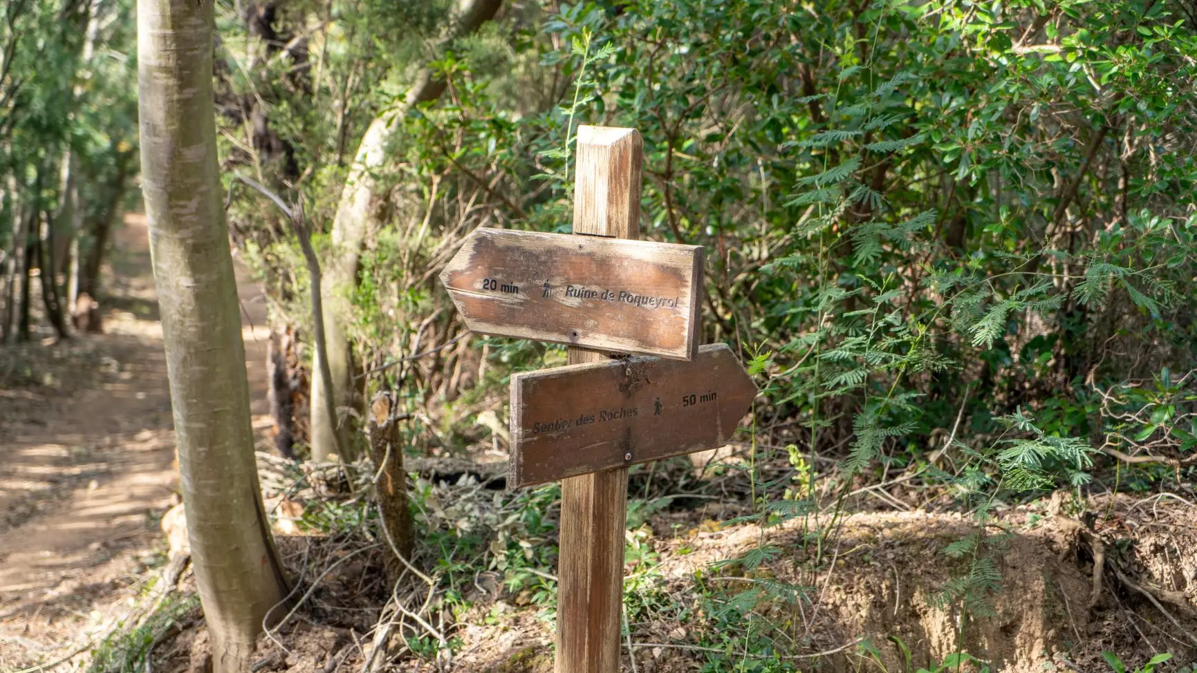 Randonnée : Sentier du mimosa - Vallon de la Gaillarde