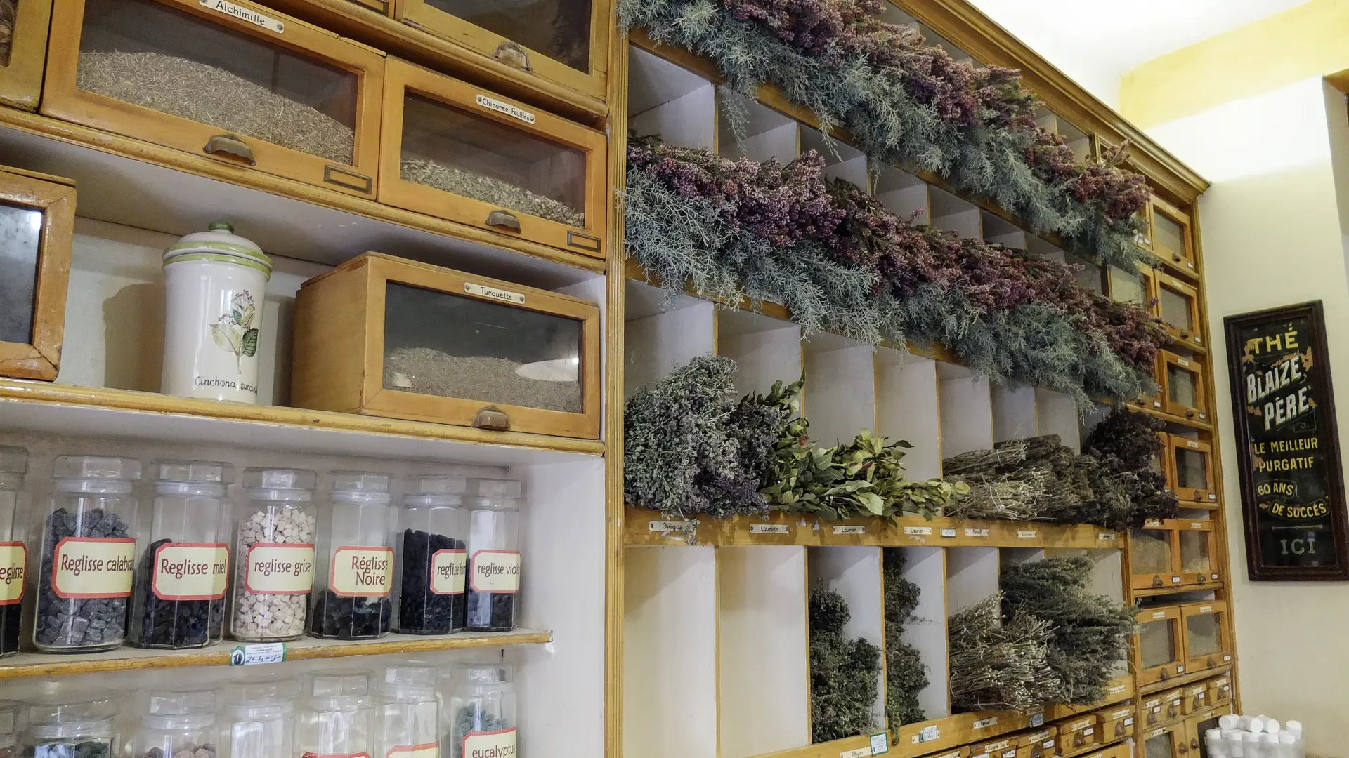 herboristerie interieur