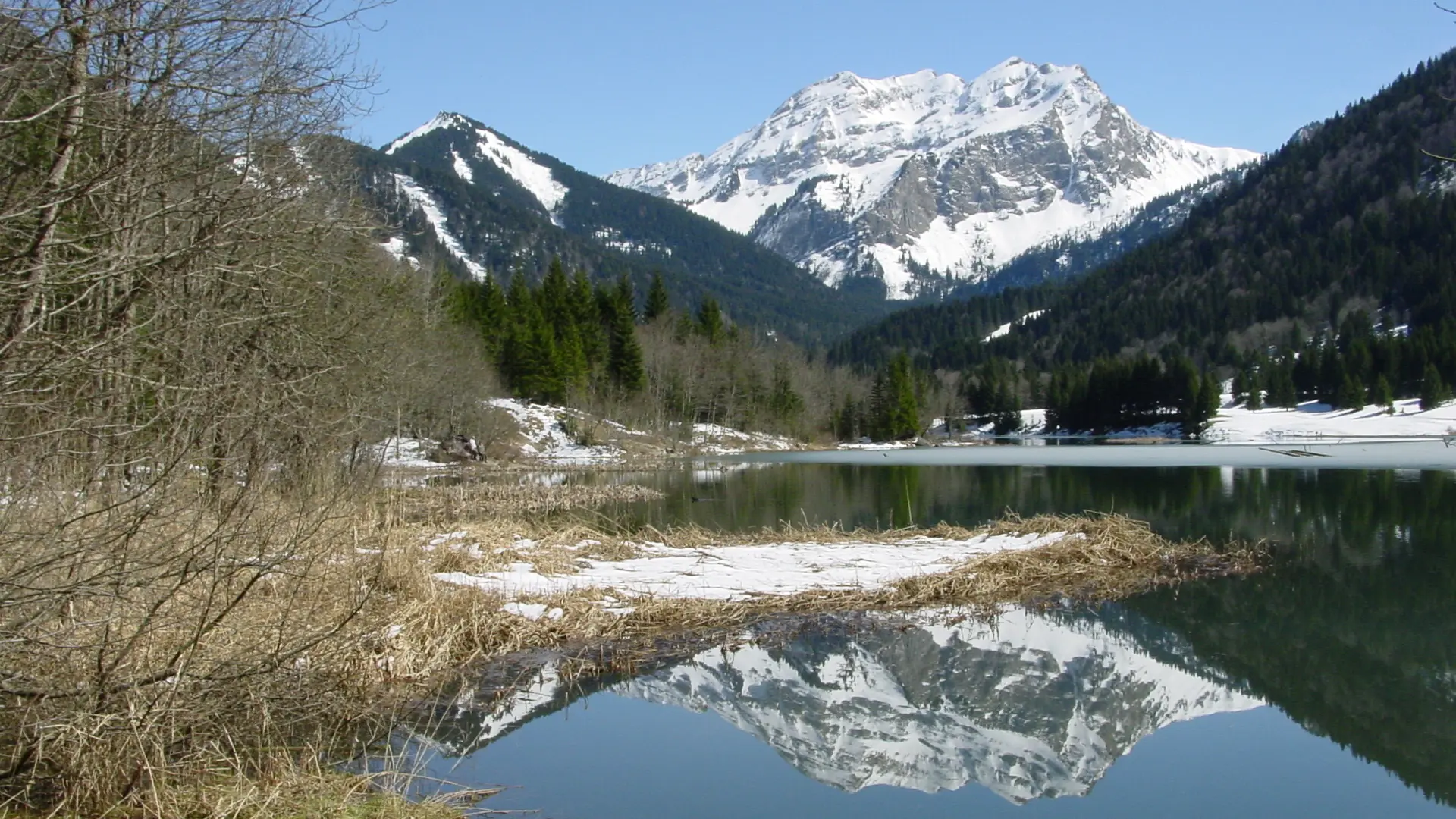 Lac au printemps