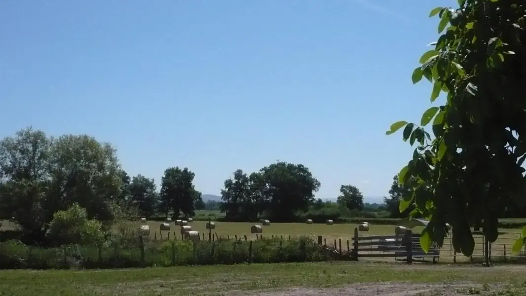 Vue depuis le gîte