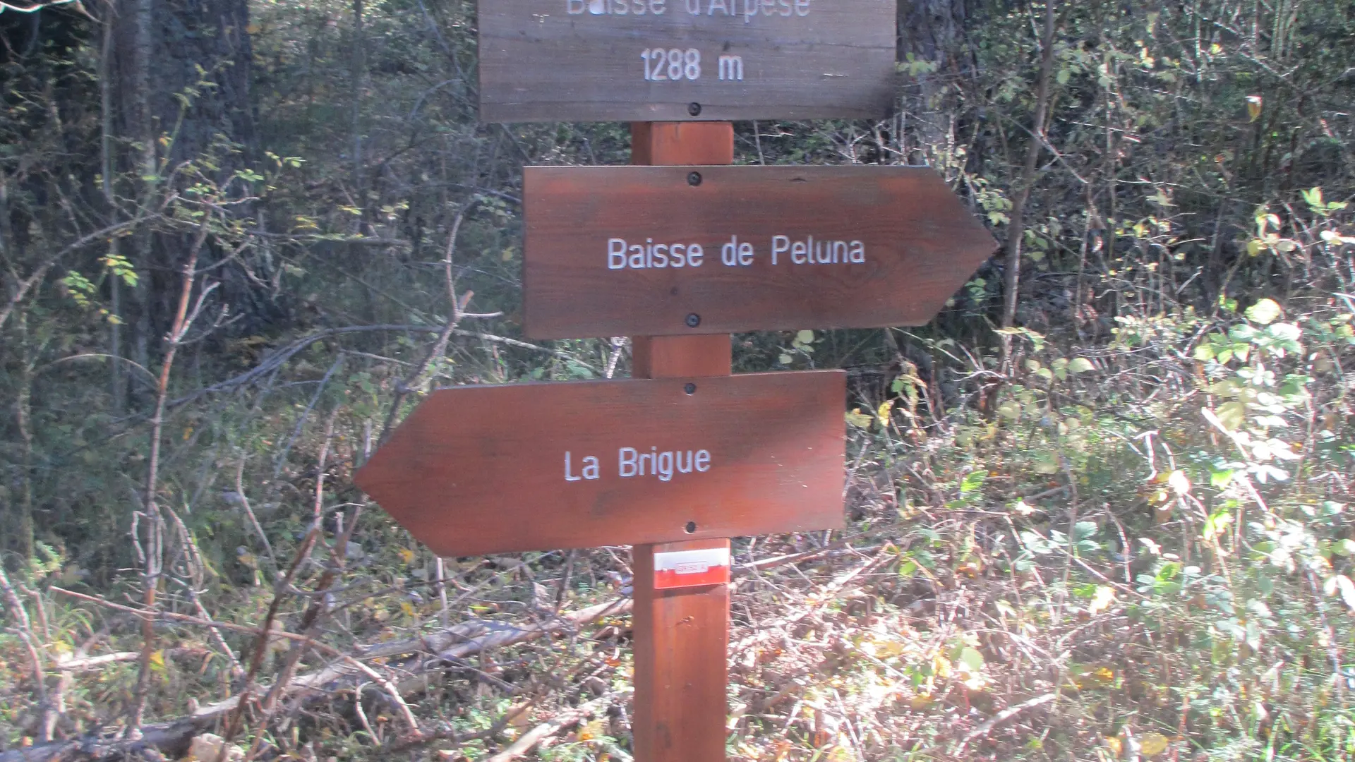 vue de la randonnée de la cime du riodore à la brigue