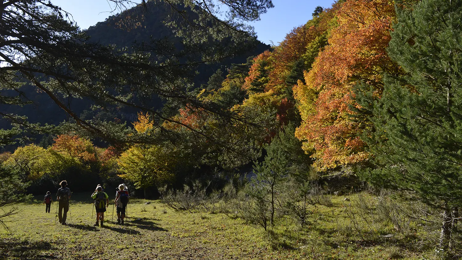 Séjour bivouac