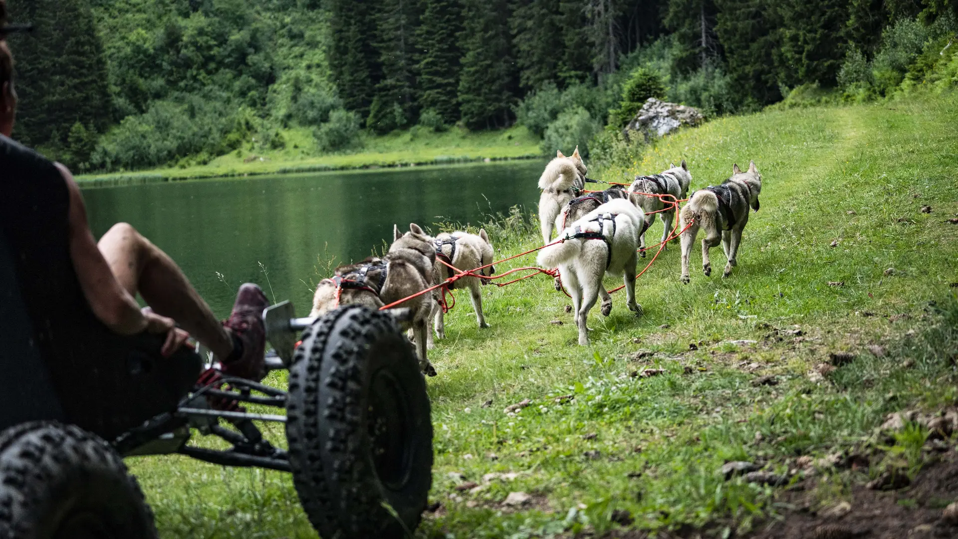 Cani'Kart