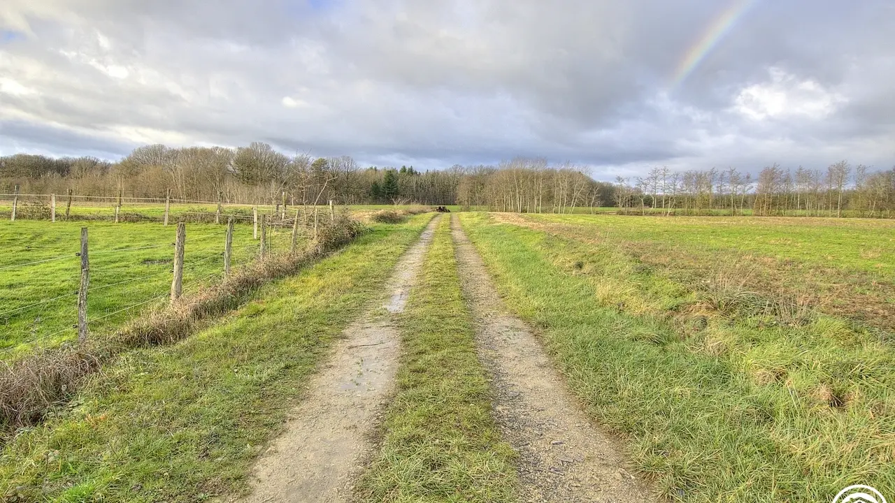 Départ pour les belles balades en pleine nature.