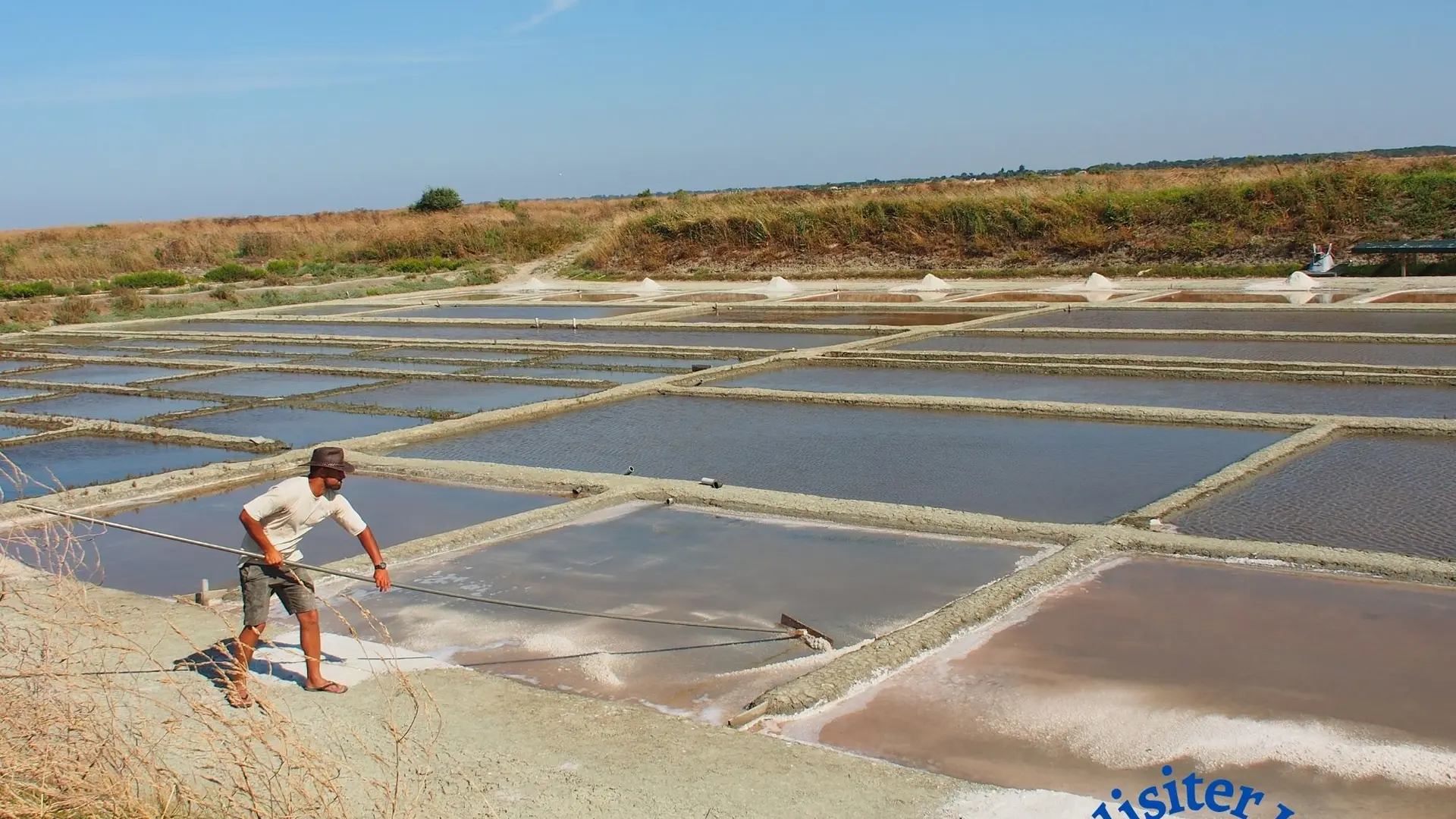 Un saunier à l'œuvre