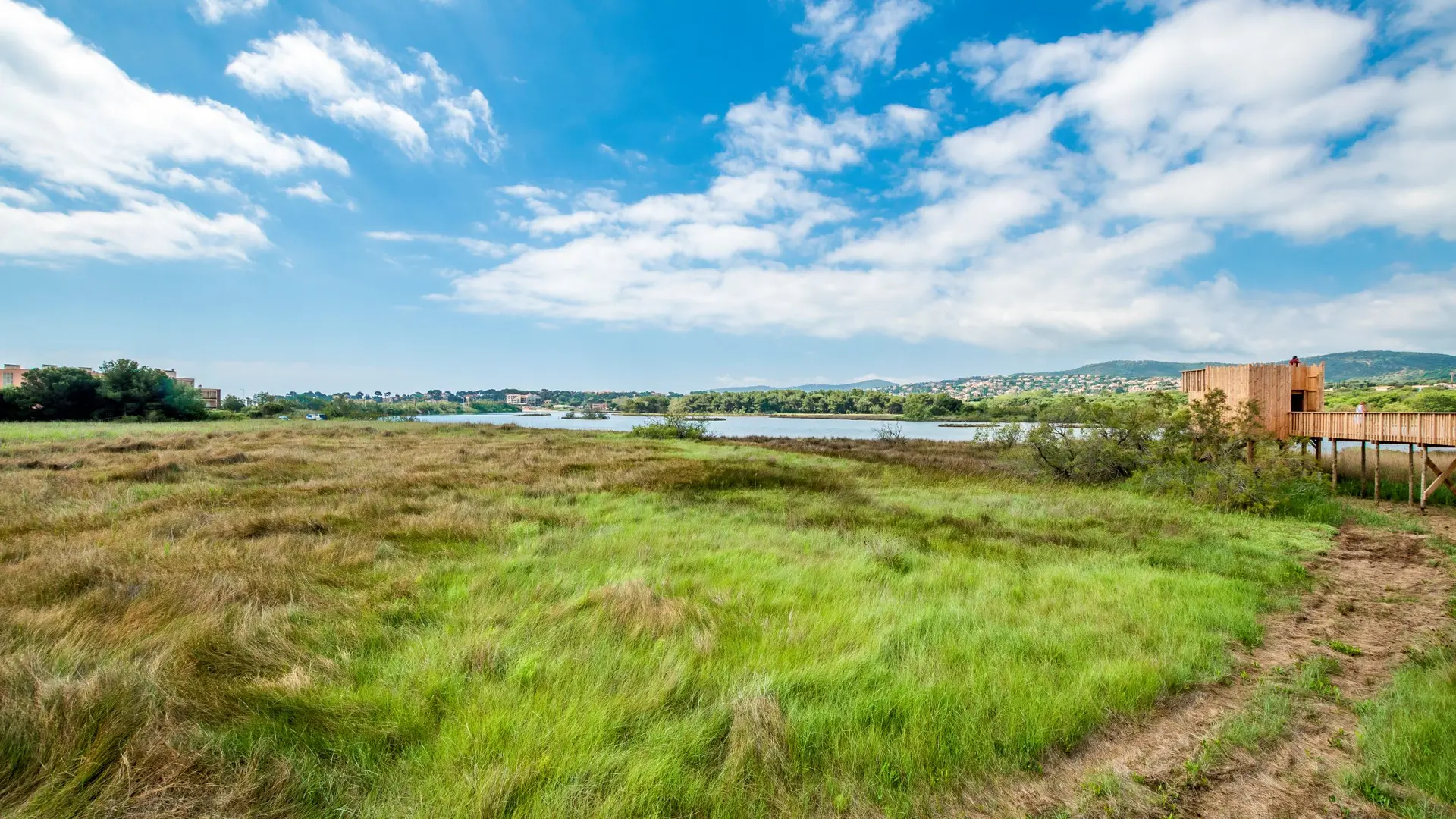 Etang de villepey, petite camargue du var