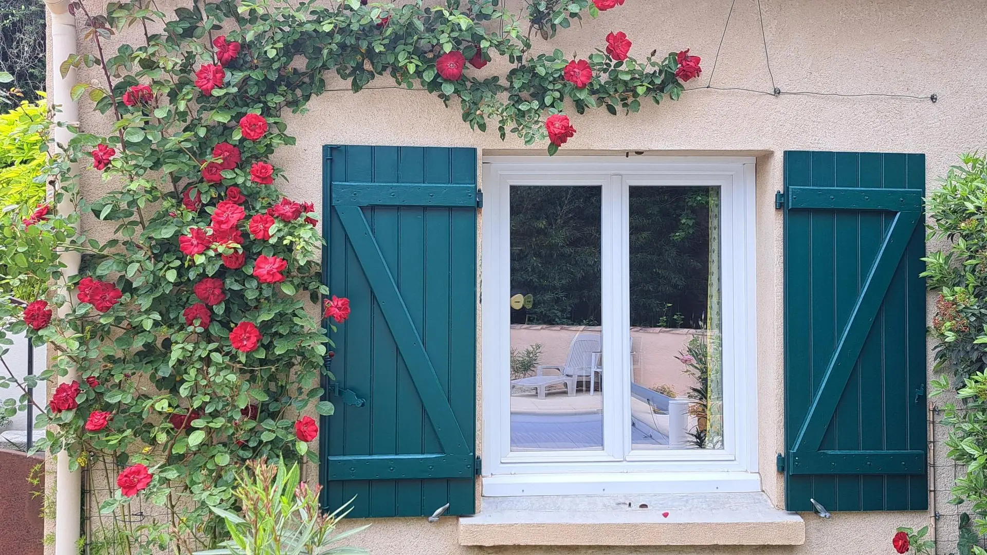 Fenêtre Sud & roses de l'Oustau dei Aucèus.